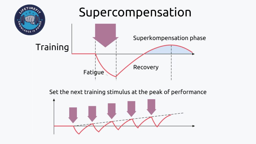 overtraining and supercompensation