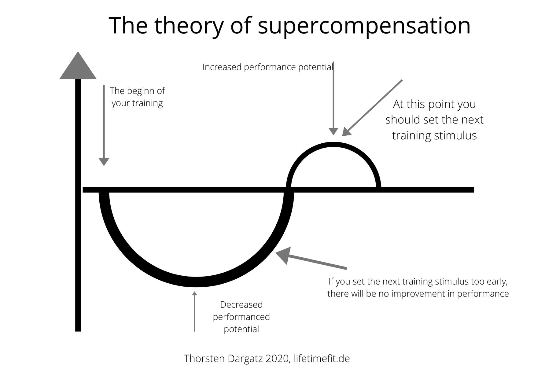 Supercompensation or how to continuously improve - Lifetimefit