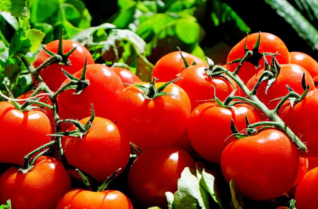 Bioaktives substances in tomatoes