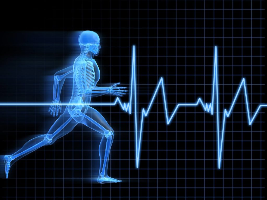 HRV heart rate variability