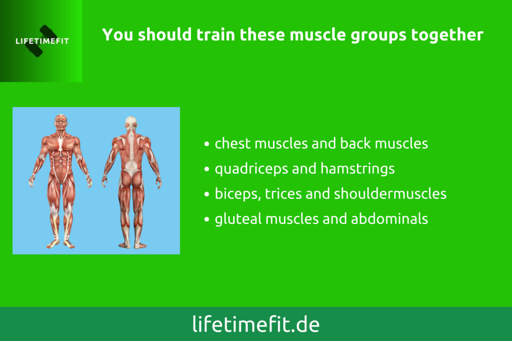 You should train these muscle groups together - Lifetimefit